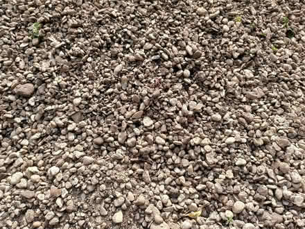 Photo of free Gravel (Cowley OX4) #1