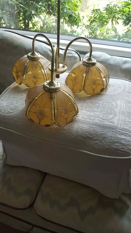 Photo of free Tiffany style ceiling light shade (Crowthorne RG45) #1