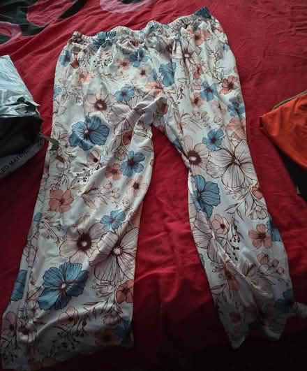 Photo of free Clothes size 22 to 24 (Fenham NE5) #4