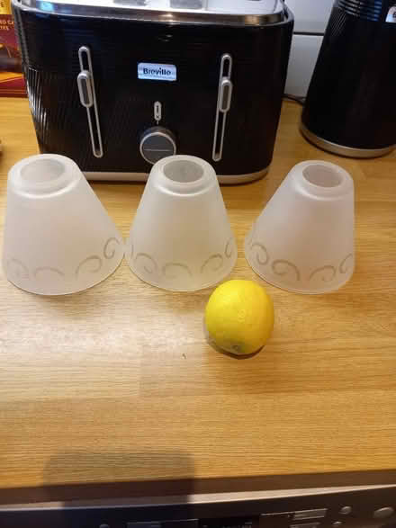 Photo of free Lampshades (Roundhill area brighton) #2