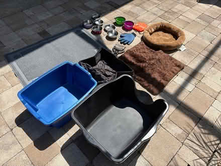 Photo of free Cat-related items (Clermont, FL) #1