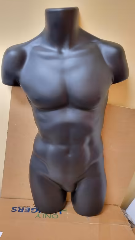 Photo of free 2 male mannequins (Tinton Falls) #1