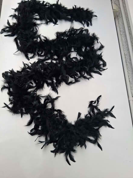 Photo of free Black feather boa - about 2m long (Bernards Heath AL1) #1