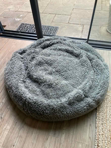 Photo of free Grey faux fur bean bag (KT8 East Molesey) #1