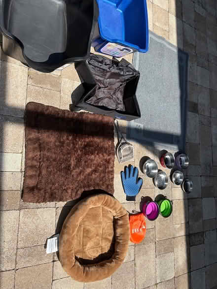 Photo of free Cat-related items (Clermont, FL) #2