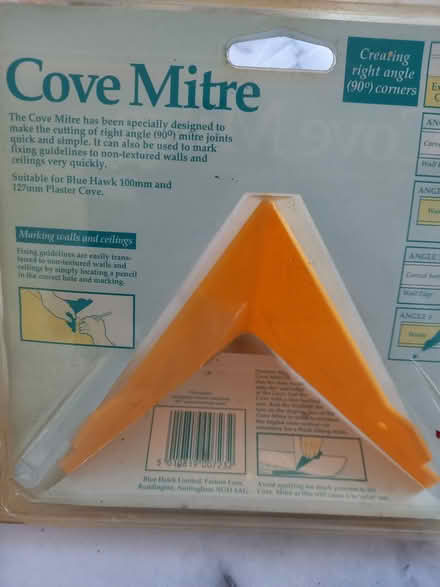 Photo of free Cove MItre (NR28) #2
