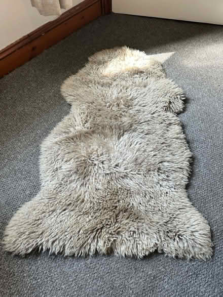 Photo of free Sheepskin Rug (So19 9ah) #1