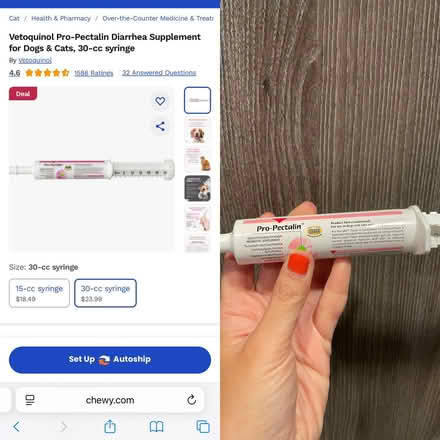 Photo of free Pro-pectalin for cats and dogs (Kirkland) #1