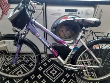 Photo of free Bike (LL11) #2