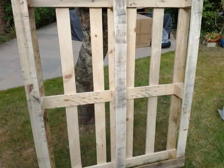 Photo of free Wooden Pallet (Woking) #1