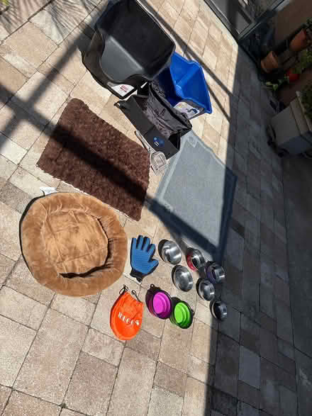 Photo of free Cat-related items (Clermont, FL) #3