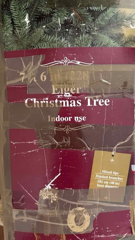 Photo of free Christmas tree (Newton Leys) #1