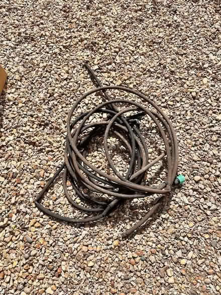 Photo of free Garden Pots etc (Old Basing RG24) #3