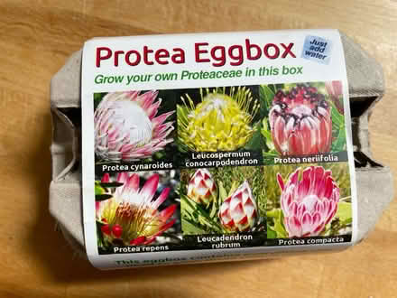 Photo of free Protea Grow Kit Project (BN6 3QB) #1