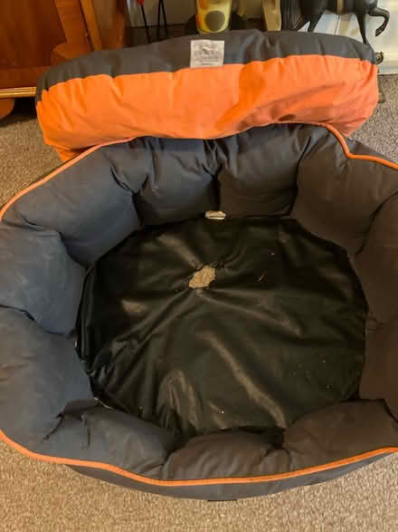Photo of free Dogs bed medium size (BR3 1rq) #2