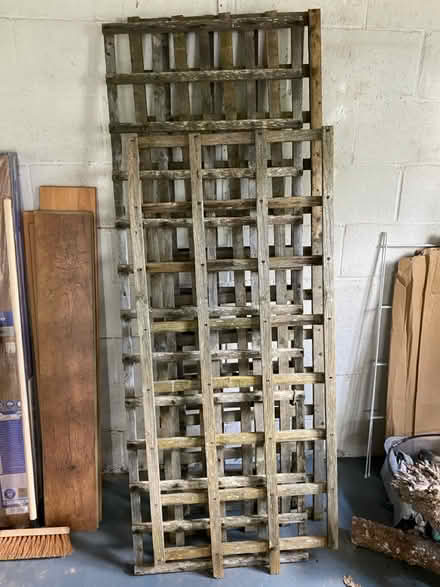 Photo of free 4 x trellises (Uckfield TN22) #1