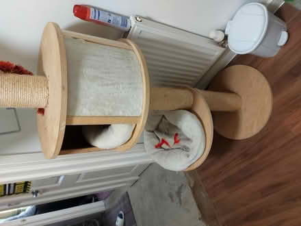 Photo of free Tall cat post (Barming Maidstone ME16) #3