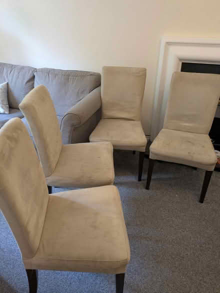 Photo of free Four dining chairs (GL51) #1