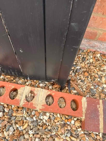 Photo of free Gates (Princes Risborough HP27) #2