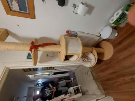 Photo of free Tall cat post (Barming Maidstone ME16) #1