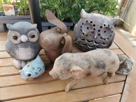 Photo of free Garden ornaments (Earl Shilton LE9) (LE9 (Earl Shilton)) #1