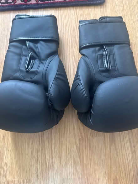 Photo of free Boxing gloves (East dulwich SE22) #2