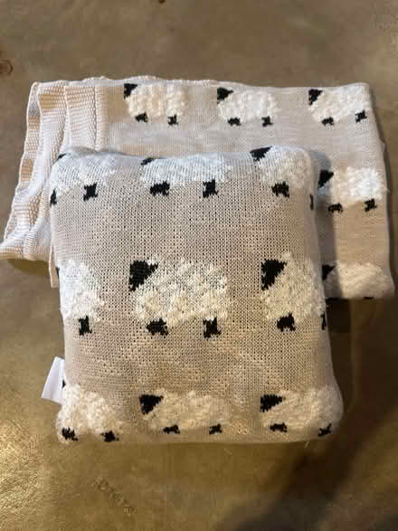 Photo of free Lamb pillow and baby blanket (Norwood Park) #1