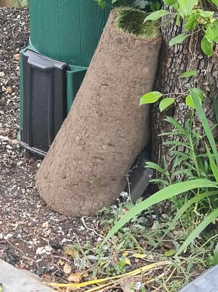 Photo of free Roll of turf with circle cut out (Ashford TW15) #1