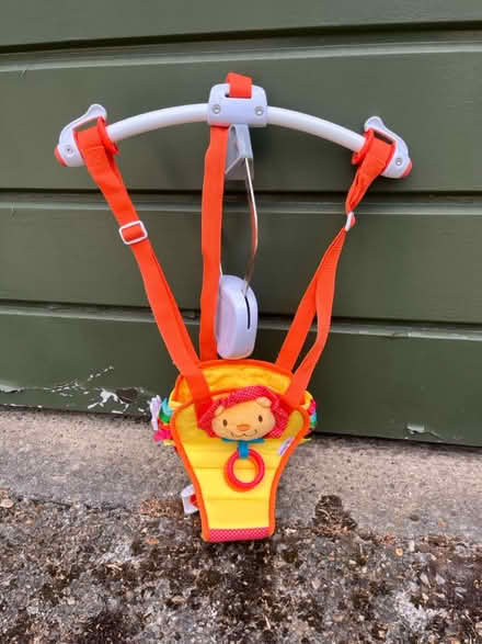Photo of free Baby door bouncer (Beckenham BR3) #1