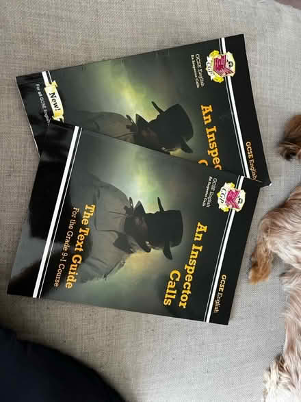 Photo of free GCSE revision guides (Bn23) #4