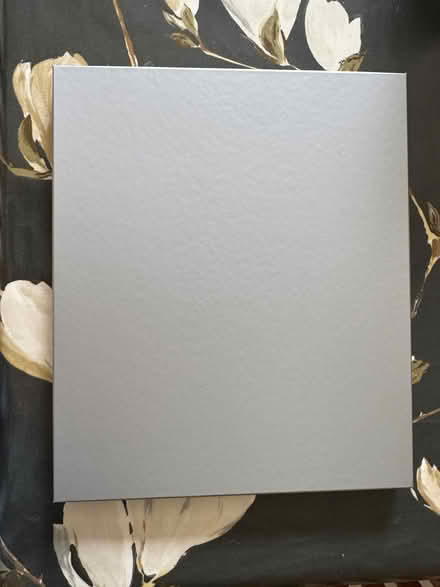 Photo of free Silver presentation box (Woodley RG5) #1