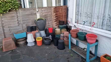 Photo of free Various sized plants pots (Perivale) #1