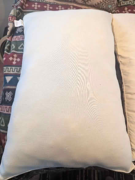 Photo of free Two pillows (Shipley) #1