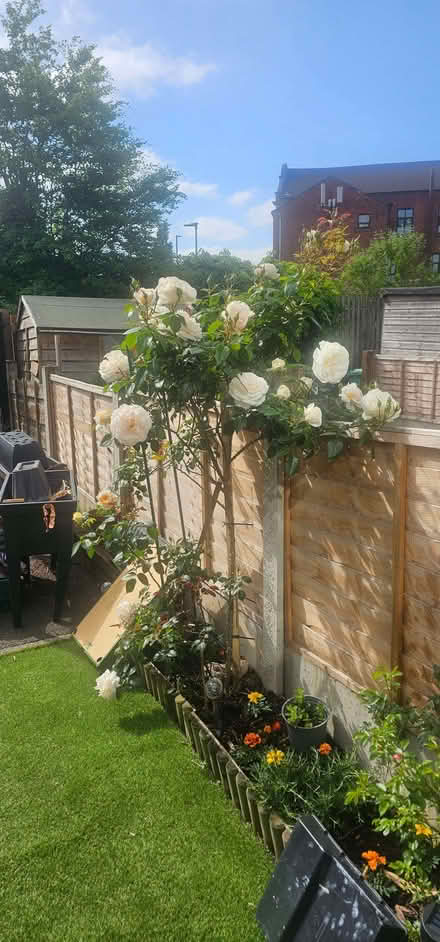 Photo of Concrete fence base (Beswick M11) #1