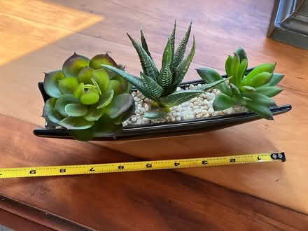 Photo of free faux succulents for decor (White Oaks area of San Carlos) #3