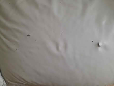 Photo of free Leather sofa. SE9 4HF (Se9 4hf) #4