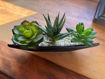 Photo of free faux succulents for decor (White Oaks area of San Carlos) #2