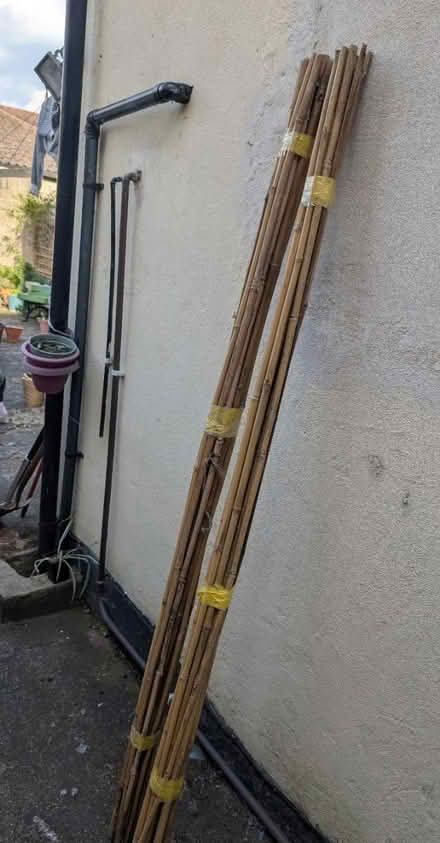 Photo of free Bamboo poles (Enfield EN3) #1