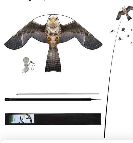 Photo of Any type of bird scarer’s (bexleyheath) #1