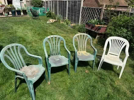 Photo of free Plastic Garden Chairs (St Ippolyts.) #1