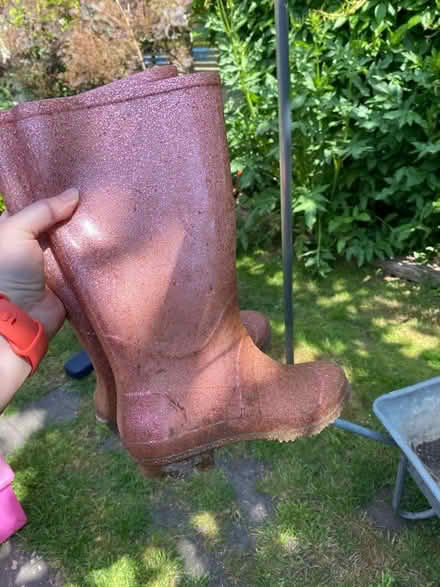 Photo of free Size 2 Wellies (East Twerton) #1