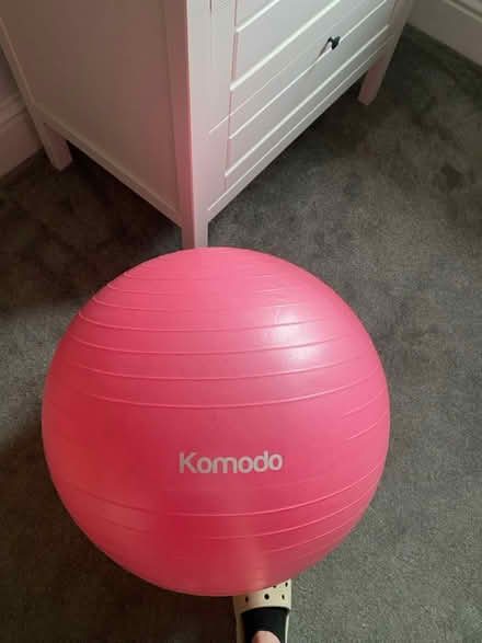 Photo of free 55cm exercise ball (NG9 Stapleford) #1