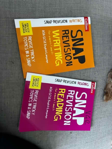 Photo of free GCSE revision guides (Bn23) #3