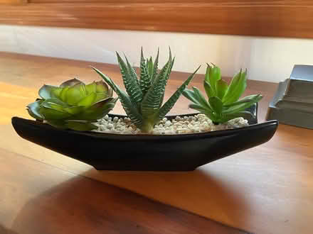 Photo of free faux succulents for decor (White Oaks area of San Carlos) #1