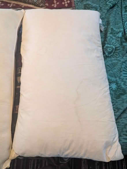 Photo of free Two pillows (Shipley) #2