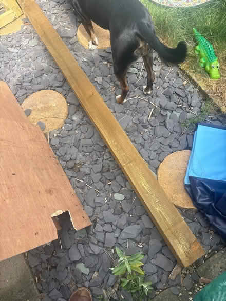 Photo of free 2.1m x 100mm x 100mm wooden post (Arborfield RG2) #2