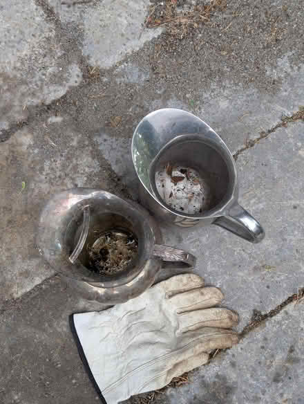 Photo of free Small Metal Jugs (Champlain Park) #1