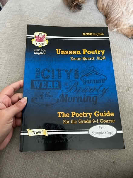 Photo of free GCSE revision guides (Bn23) #2