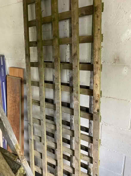 Photo of free 4 x trellises (Uckfield TN22) #2