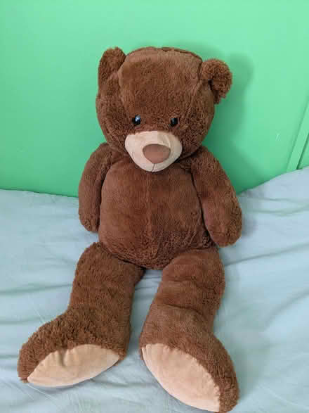 Photo of free Large teddy bear and purple elephant (Cam GL11) #1